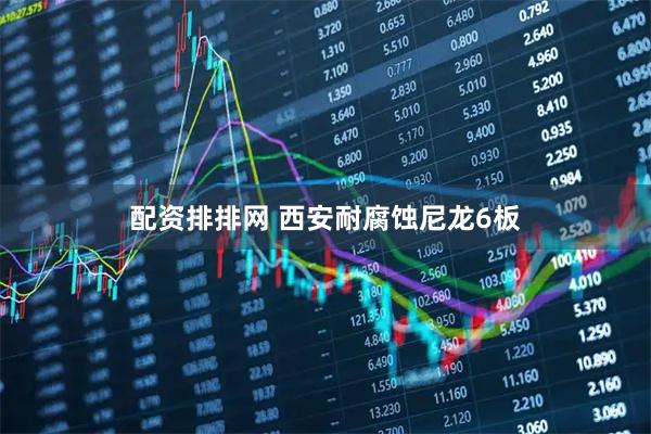 配资排排网 西安耐腐蚀尼龙6板