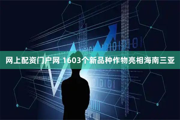 网上配资门户网 1603个新品种作物亮相海南三亚
